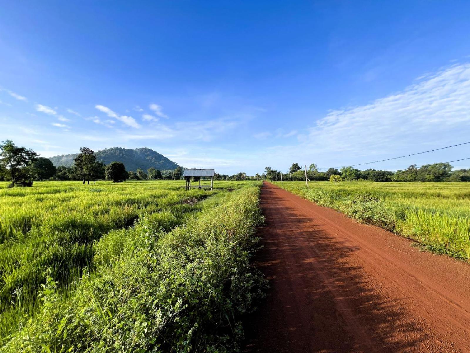 The Little Vegan Homestay Phumi Banteay Srei Exterior photo